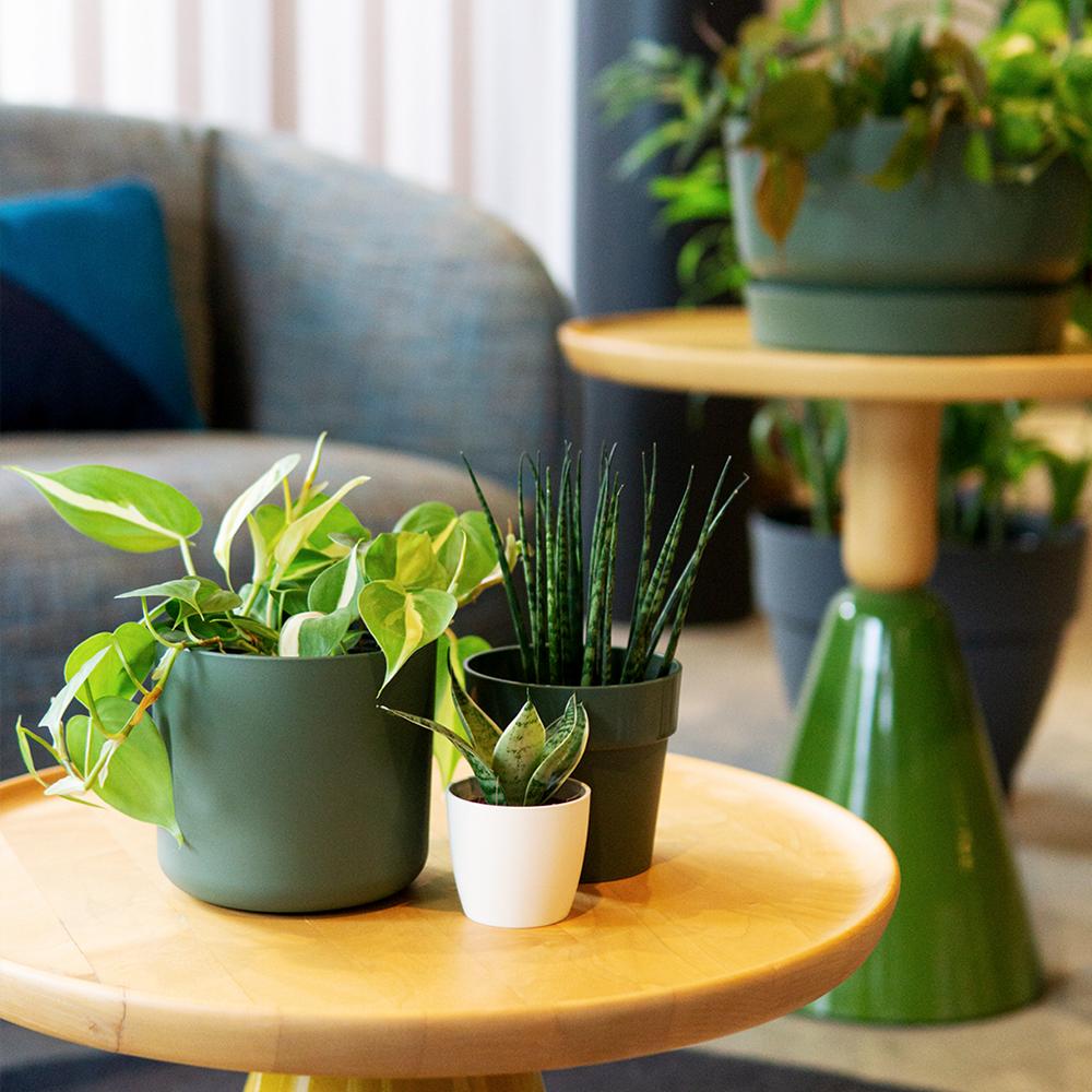 Elho Planters  Qach Lifestyle & Garden