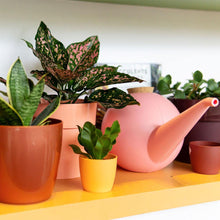 Load image into Gallery viewer, Bowli Watering Can 2.5L