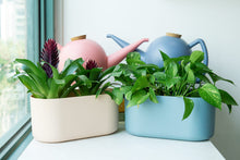 Load image into Gallery viewer, Bowli Watering Can 2.5L