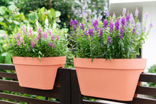 Load image into Gallery viewer, Loft Urban Flower Bridge 50 cm
