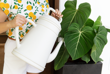 Load image into Gallery viewer, Lungo Watering Can 12L