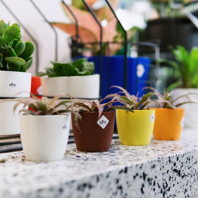 Smart Parenting: Looking For Planters For Your Container Garden? Visit These 6 Online Stores!