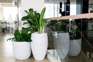 Vase Elegant Deluxe Row NL