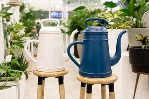 Lungo Watering Can 12L