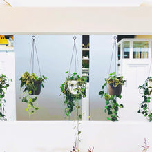 Load image into Gallery viewer, Brussels Hanging Basket