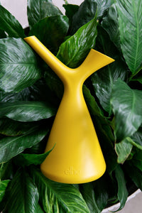 Plunge Watering Can