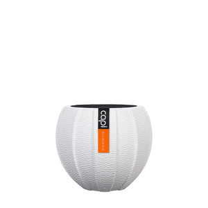 Lux Arc Vase Ball