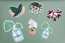 Load image into Gallery viewer, Home is Where My Plants Are Holographic Sticker