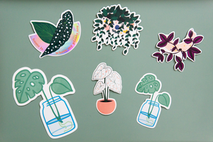 Home is Where My Plants Are Holographic Sticker