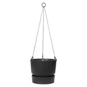 Greenville Hanging Basket
