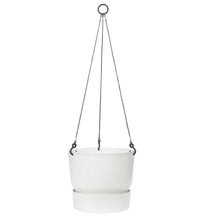 Load image into Gallery viewer, Greenville Hanging Basket
