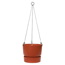 Load image into Gallery viewer, Greenville Hanging Basket