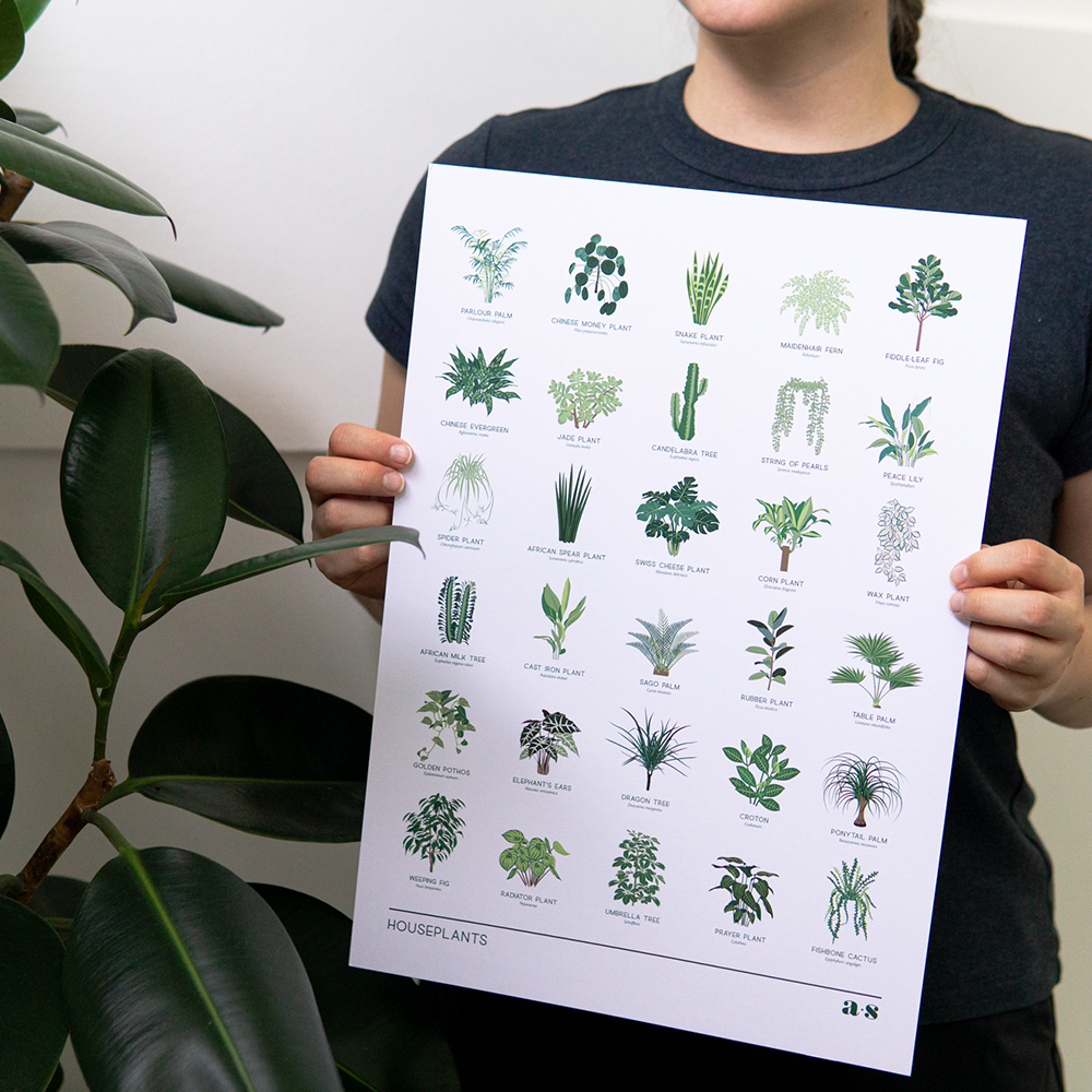 Houseplants Print