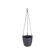 Load image into Gallery viewer, Brussels Hanging Basket
