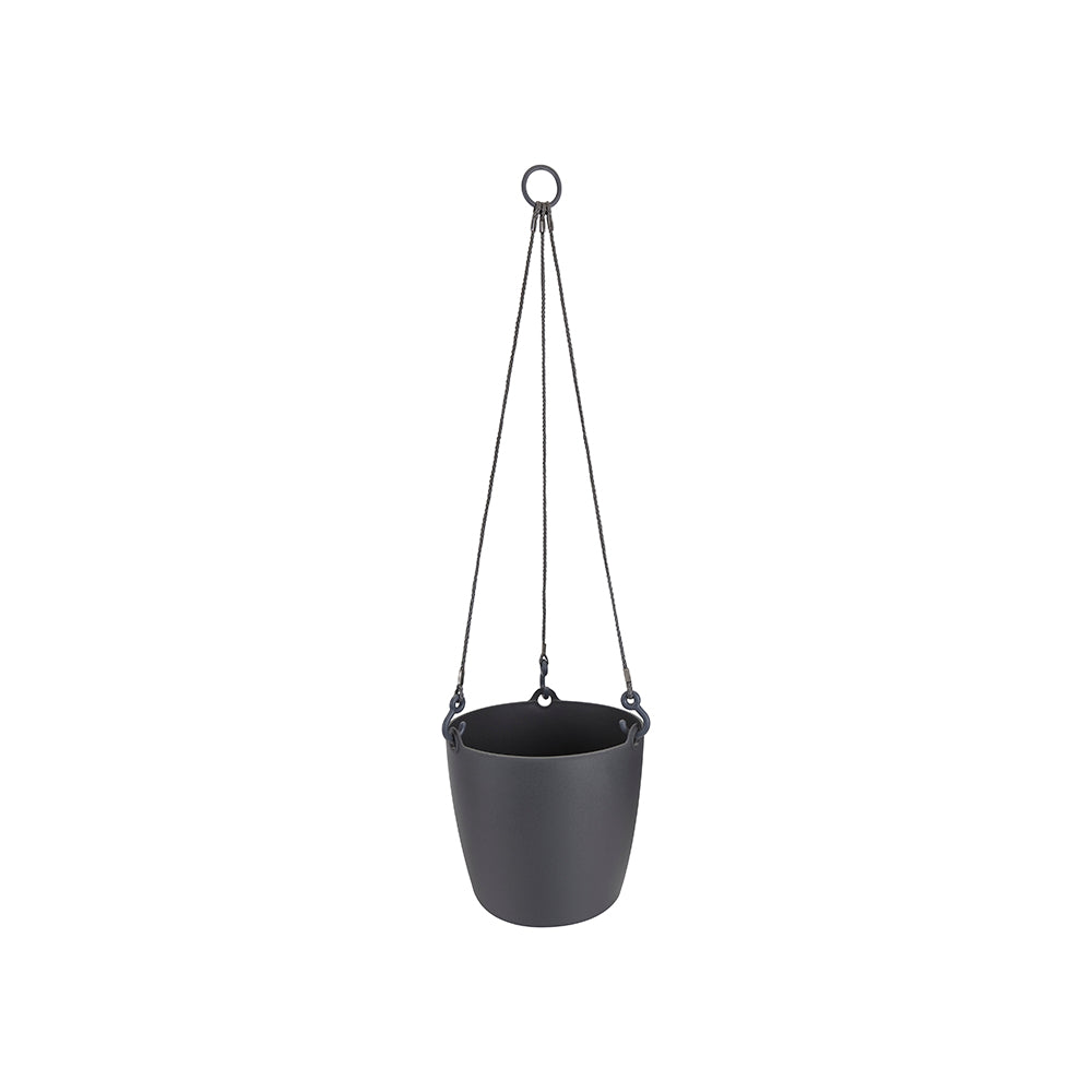 Brussels Hanging Basket